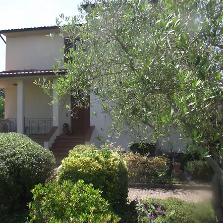 Sabrina Bed & Breakfast Arezzo