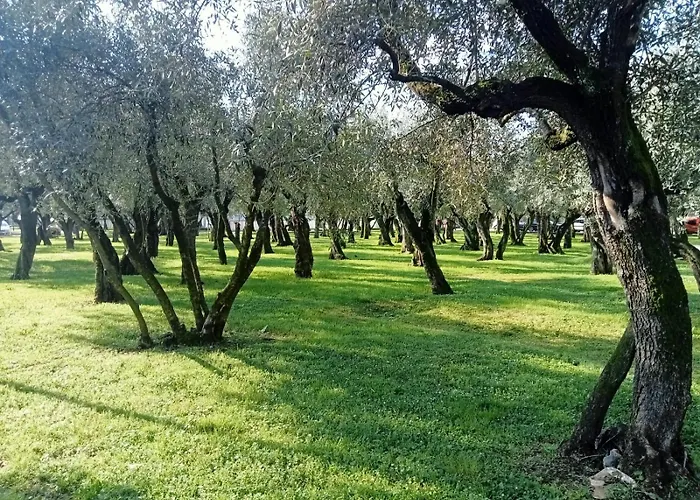 فندق مبيت وإفطار Sabrina